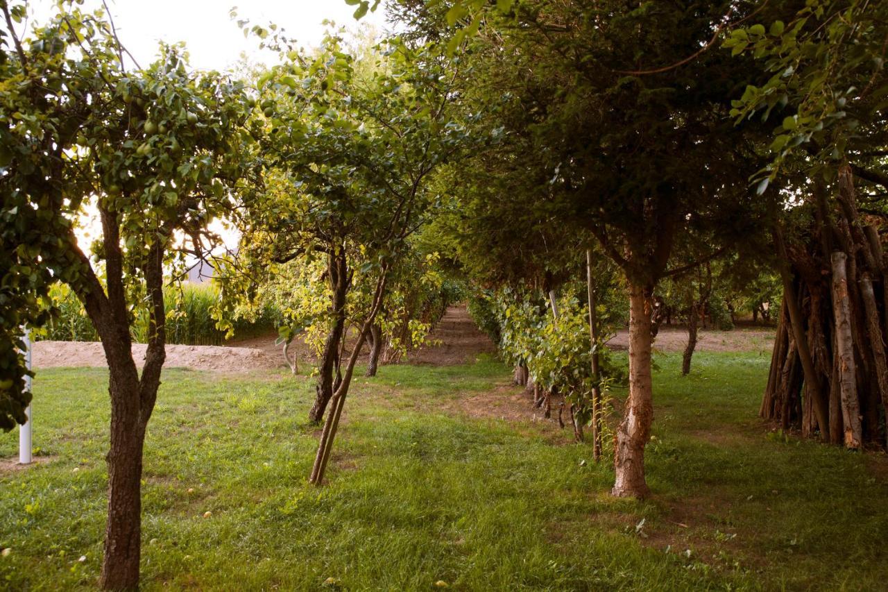 Domaine Des 4Roses -Spa Et Serenite Villa Furdenheim Buitenkant foto
