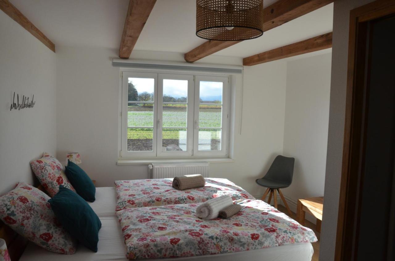 Domaine Des 4Roses -Spa Et Serenite Villa Furdenheim Buitenkant foto